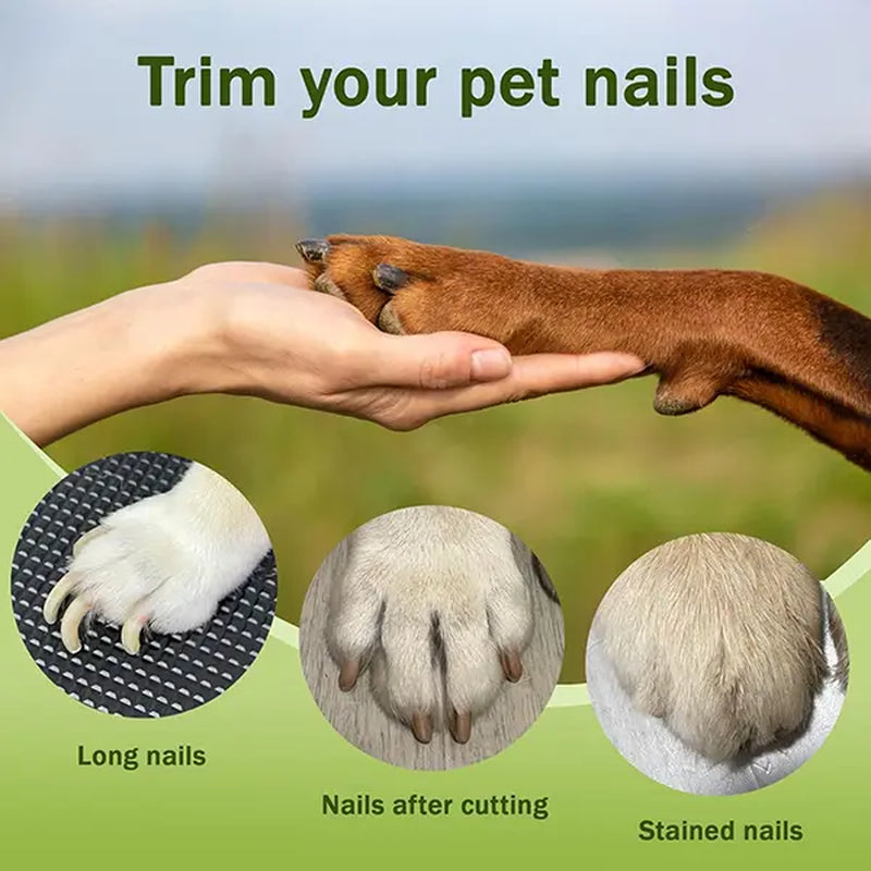 Quiet Cordless Pet Nail Grinder with Clipper