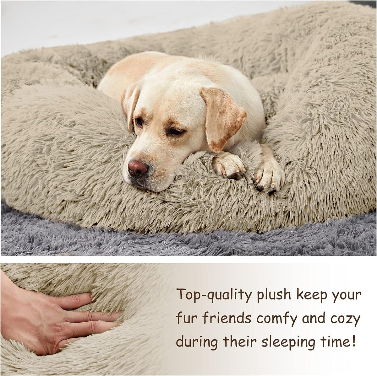 Washable Donut Dog Bed with Raised Bolster Edges
