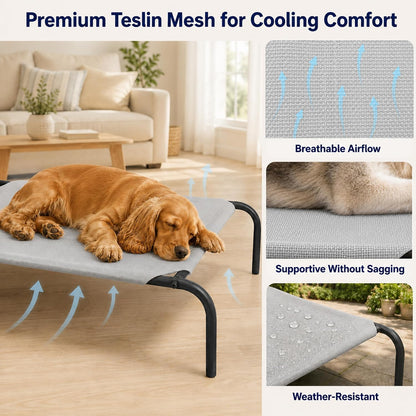Raised Mesh Dog Bed for Indoor & Outdoor Use