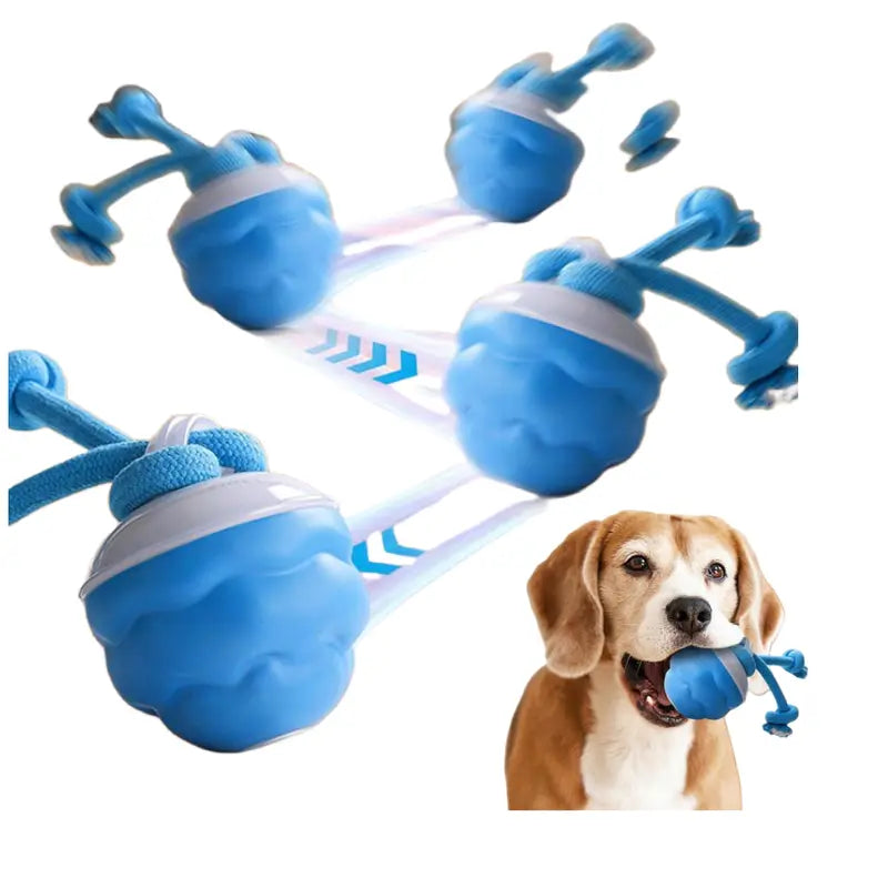 Motion-Activated Rolling Ball for Small Dogs & Cats