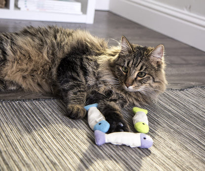 Crinkle Catnip Fish Toys for Cats, Set of 3