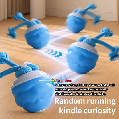 Motion-Activated Rolling Ball for Small Dogs & Cats