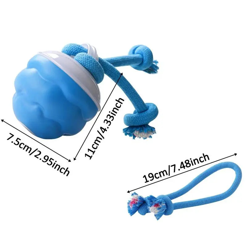 Motion-Activated Rolling Ball for Small Dogs & Cats