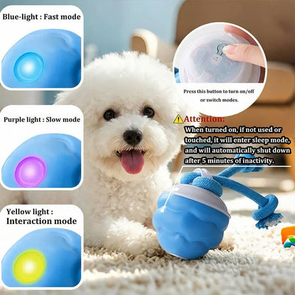 Motion-Activated Rolling Ball for Small Dogs & Cats