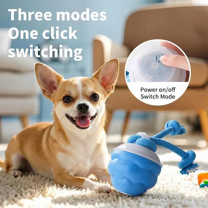 Motion-Activated Rolling Ball for Small Dogs & Cats