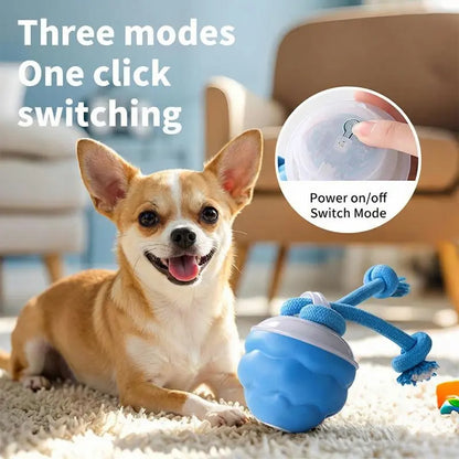 Motion-Activated Rolling Ball for Small Dogs & Cats