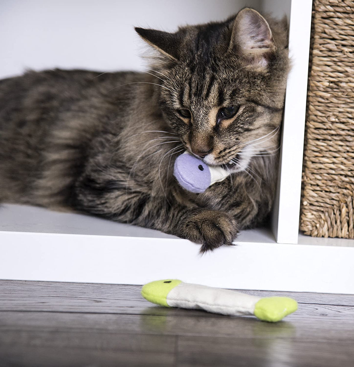 Crinkle Catnip Fish Toys for Cats, Set of 3