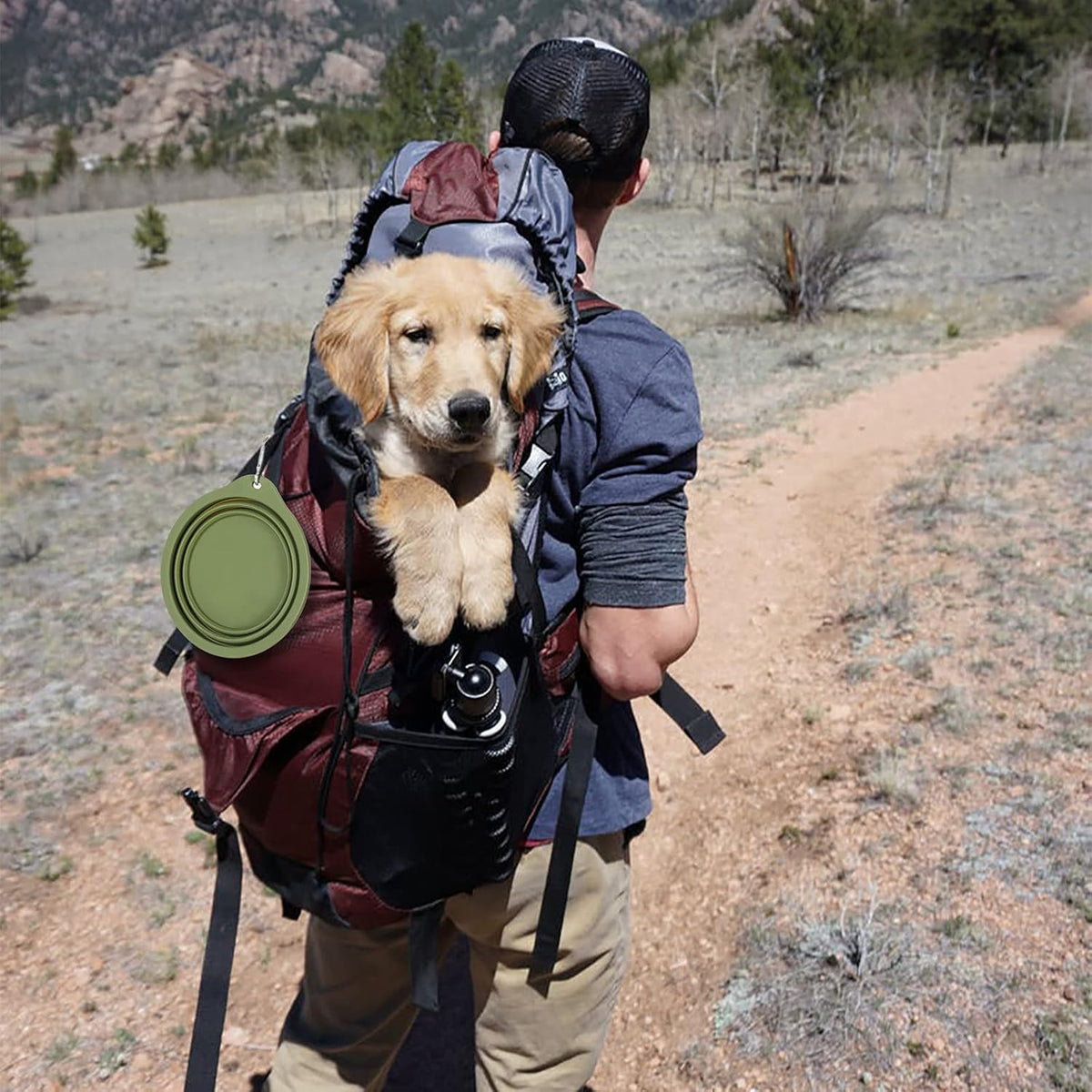 One-Piece Collapsible Pet Bowls for Walks & Hikes, Set of 2