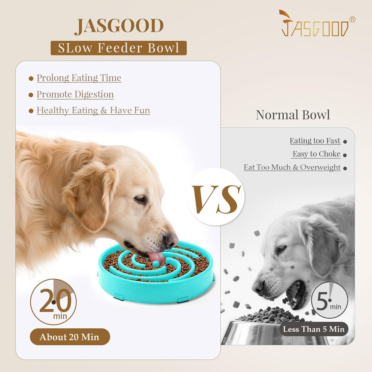 Slow Feeder Dog Bowl with Spiral Maze