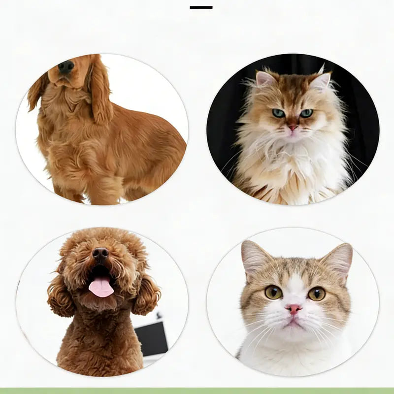 Paw Print Deshedding Brush for Dogs & Cats