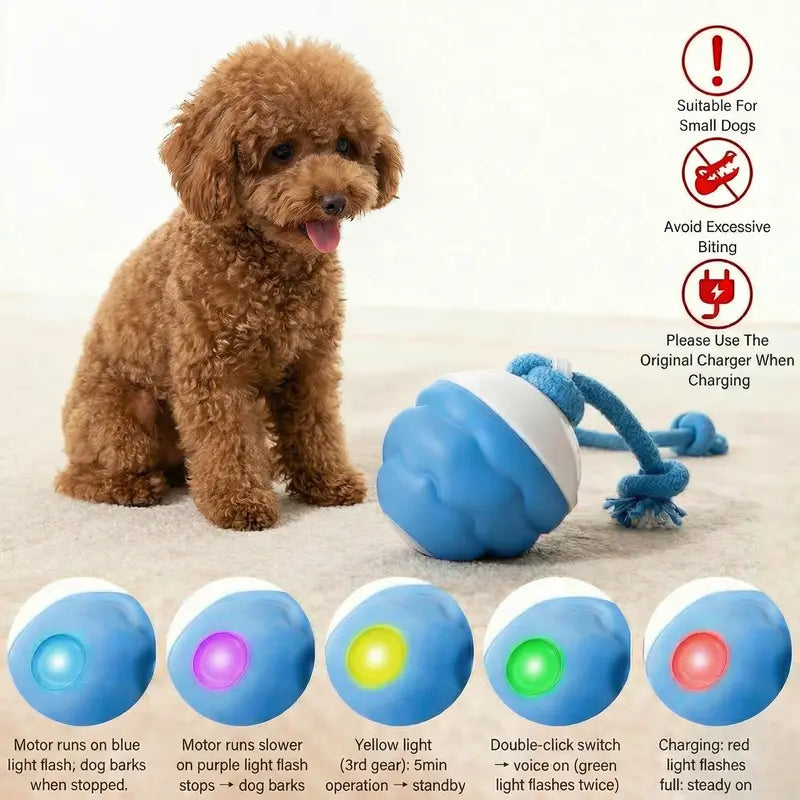 Motion-Activated Rolling Ball for Small Dogs & Cats