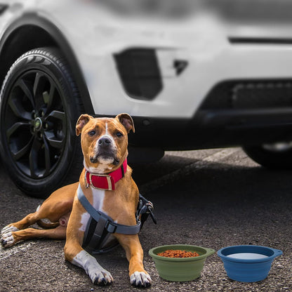 One-Piece Collapsible Pet Bowls for Walks & Hikes, Set of 2