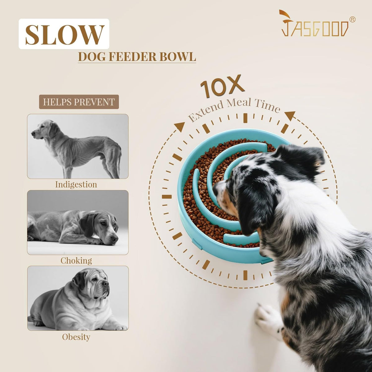 Slow Feeder Dog Bowl with Spiral Maze