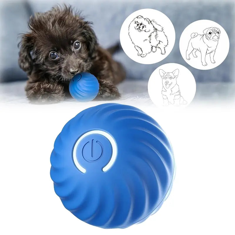 Motion-Activated Rolling Ball for Small Dogs & Cats