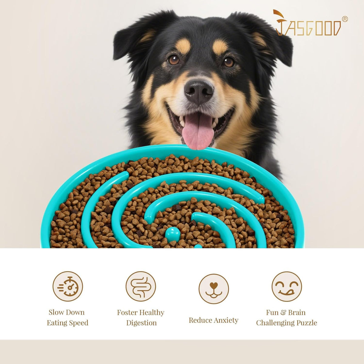 Slow Feeder Dog Bowl with Spiral Maze