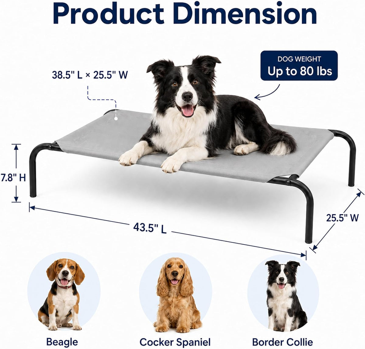 Raised Mesh Dog Bed for Indoor & Outdoor Use