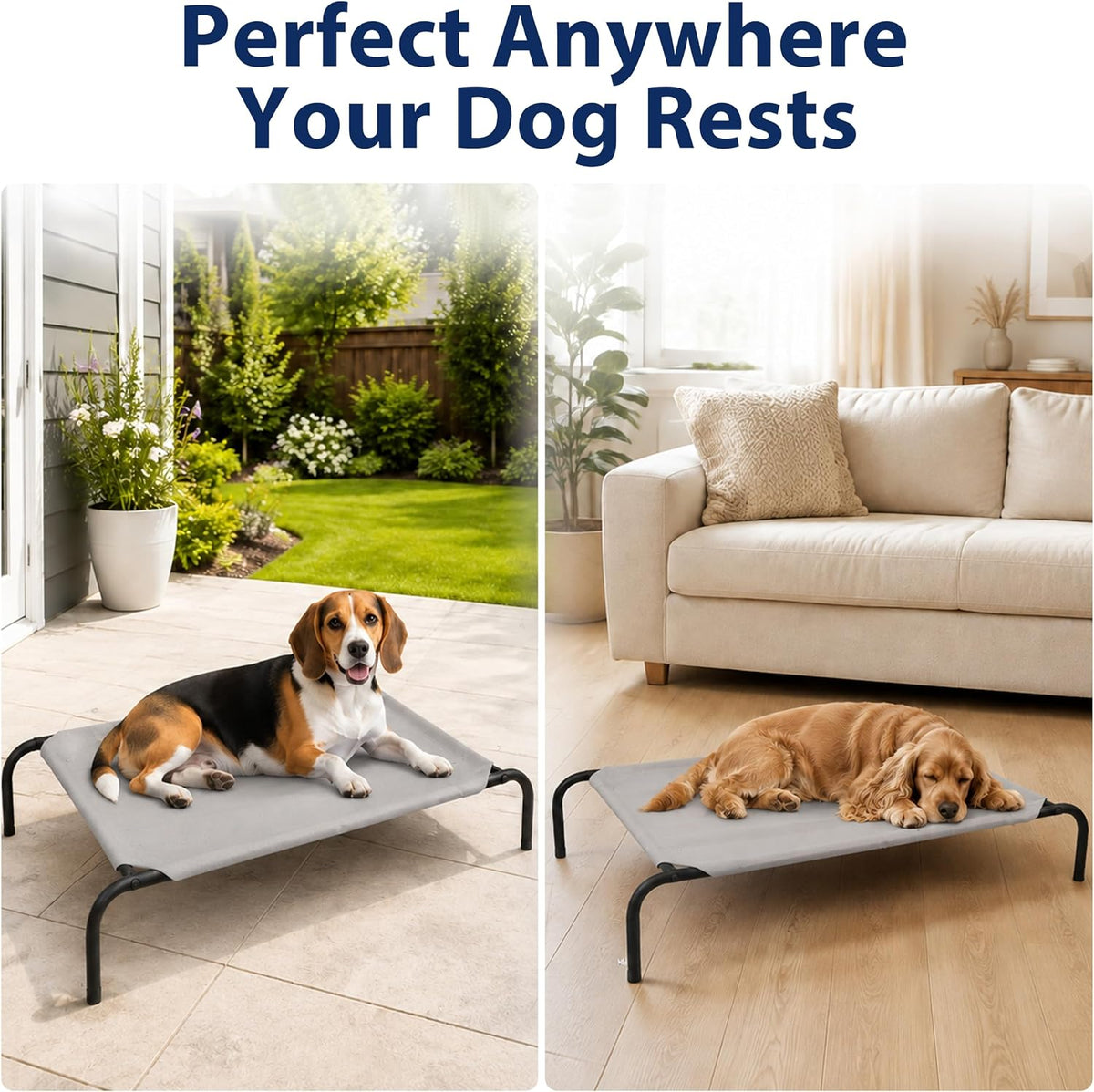 Raised Mesh Dog Bed for Indoor & Outdoor Use