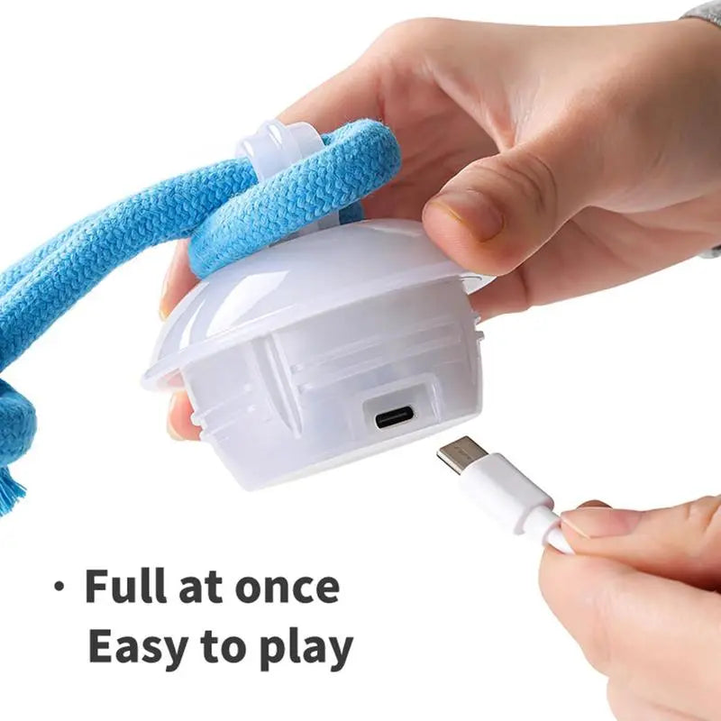 Motion-Activated Rolling Ball for Small Dogs & Cats