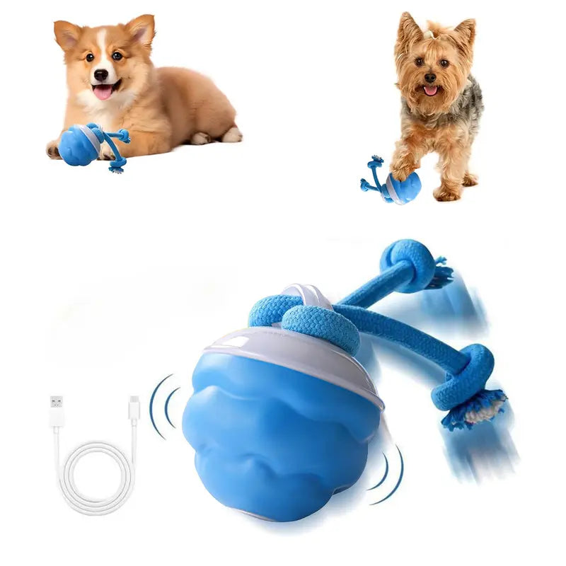 Motion-Activated Rolling Ball for Small Dogs & Cats